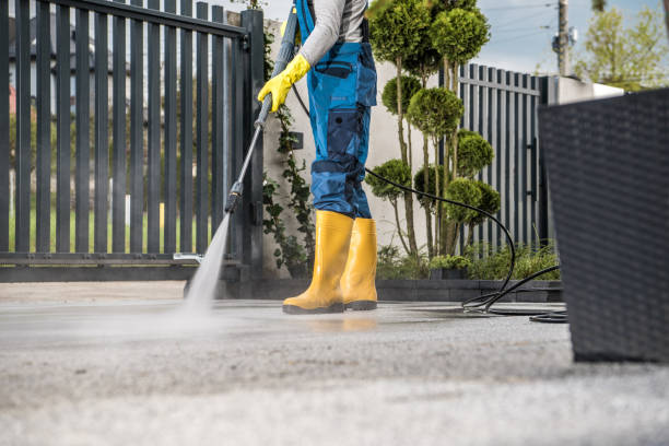 Best Driveway Pressure Washing  in Rogers, MN